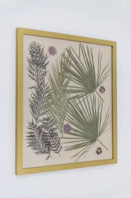 a framed drawing of plants on a wall at Hotel Marhava in Conil de la Frontera