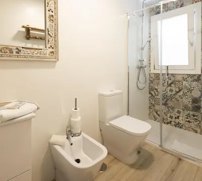 a white bathroom with a toilet and a shower at Apartamento Entrecatedrales in Cádiz
