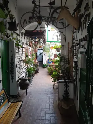 a hallway filled with potted plants in a store at Casa Museo Jerez Centro in Jerez de la Frontera