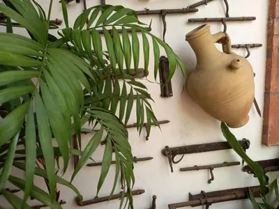 a plant next to a vase on a wall with pins at Casa Museo Jerez Centro in Jerez de la Frontera