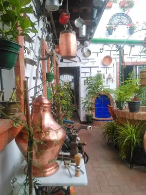a room filled with lots of plants and a vase at Casa Museo Jerez Centro in Jerez de la Frontera