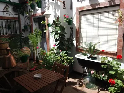 a room filled with lots of plants and a table at Casa Museo Jerez Centro in Jerez de la Frontera