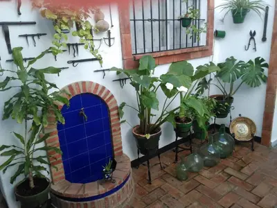 a courtyard with plants and a blue door at Casa Museo Jerez Centro in Jerez de la Frontera