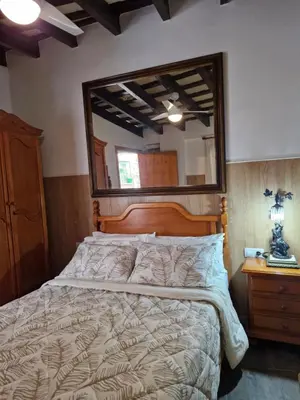 a bedroom with a bed with a large mirror on the wall at Casa Museo Jerez Centro in Jerez de la Frontera