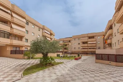 a courtyard of an apartment building with a tree at APARTAMENTO CENTRO JARDINES TEMPUL in Jerez de la Frontera
