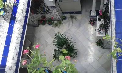 an overhead view of a tile floor with plants and flowers at Hospederia Islasol in San Fernando