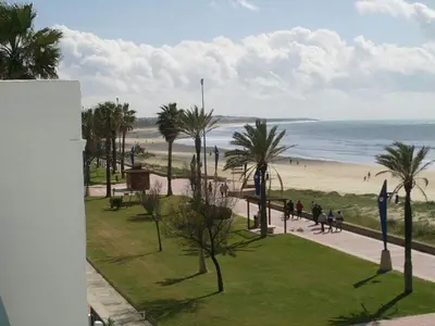 a beach with palm trees and people walking on a sidewalk at Primera linea de playa 