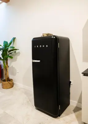a black refrigerator in a room with a plant at innCádizCASA SEÑORIAL DE 1790 in Cádiz