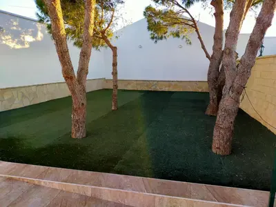 a group of trees in a room with grass at FINCA VILLA ZAAR HOMES in Puerto Real