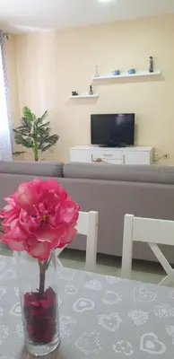 a vase with a pink flower on a table in a living room at Casa Mercedes in Rota