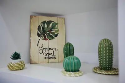 a shelf with cactuses and a picture of a cactus at Loft CENTRO San Diego in Sanlúcar de Barrameda