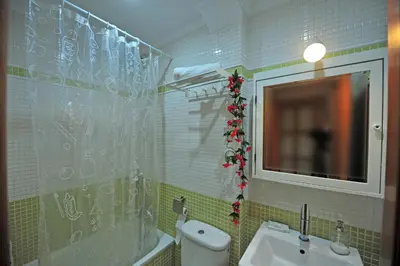 a bathroom with a toilet and a sink and a mirror at Avenida Paseo 3 Rooms 2 baños in Cádiz