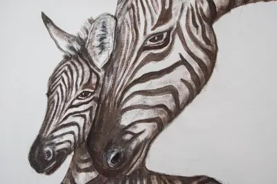 a drawing of two zebras at Apartamento Animalia in Cádiz