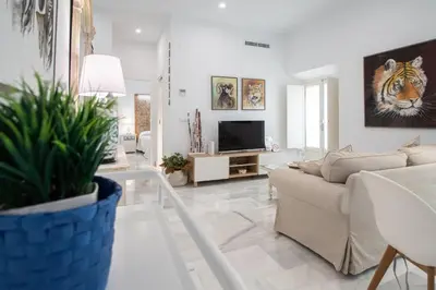 a living room with a couch and a tv at Apartamento Animalia in Cádiz