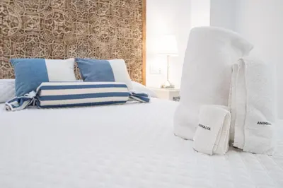a white bed with blue and white pillows on it at Apartamento Animalia in Cádiz