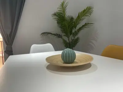 a cactus on a plate on a white table at Apartamento Nebro Estrella, En el Corazón de Cádiz in Cádiz