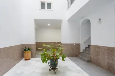 a room with a potted plant on a tiled floor at Atico-Solarium CITY Hall by Cadiz4Rentals in Cádiz