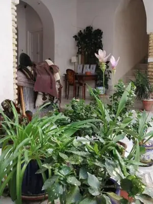 a room filled with lots of plants in a room at el rinconcito in Sanlúcar de Barrameda