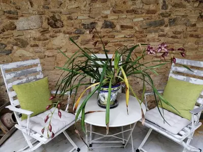 a table with a potted plant sitting between two chairs at el rinconcito in Sanlúcar de Barrameda