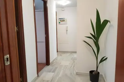 a hallway with a potted plant in a room at Central Apartment in Sanlucar in Sanlúcar de Barrameda