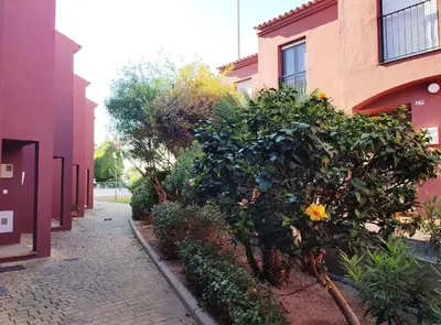a bush next to a building next to a street at ALDEA DEL COTO in Chiclana de la Frontera