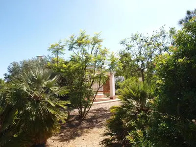a garden with palm trees and a house at El Arrabal de la Barrosa in Chiclana de la Frontera