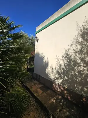a wall with a shadow of a palm tree next to it at El Arrabal de la Barrosa in Chiclana de la Frontera