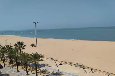 a sandy beach with palm trees and the ocean at Apartamento en primera línea de playa in Sanlúcar de Barrameda