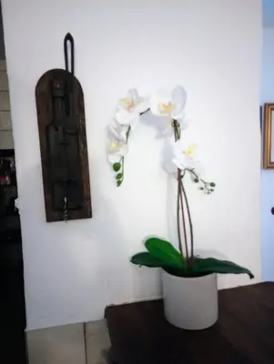 a white wall with a vase with flowers on it at Casa Jaruf CENTRO HISTÓRICO Parking Gratuito Patio petfriendly in Arcos de la Frontera