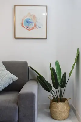 a plant sitting next to a couch in a living room at Apartamentos La BRUJULA by CadizRentals in Cádiz