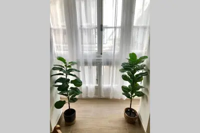 two potted plants in a room with a window at GATU PREMIUM Villa Libertad in Cádiz