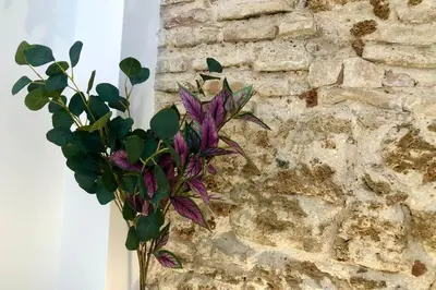 a purple flower in a vase next to a brick wall at GATU PREMIUM Villa Libertad in Cádiz