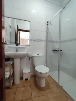 a bathroom with a toilet and a sink and a shower at Apartamento Hostal Mellizo in Lebrija