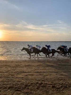 a group of people riding horses on the beach at Casa Miguel - Apartamento 3 in Sanlúcar de Barrameda