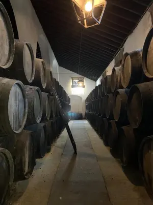 a row of barrels in a wine cellar at Casa Miguel - Apartamento 2 in Sanlúcar de Barrameda