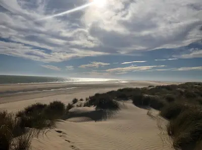 a view of a beach with footprints in the sand at Casa Miguel - Apartamento 5 in Sanlúcar de Barrameda