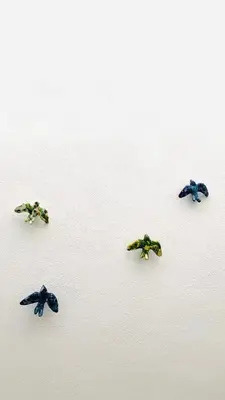a group of four frogs on a white wall at Casa Miguel - Apartamento 6 in Sanlúcar de Barrameda