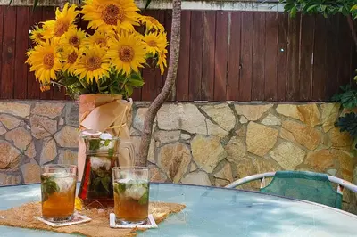 a table with two glasses and a vase with yellow flowers at GirasolesV in Sanlúcar de Barrameda