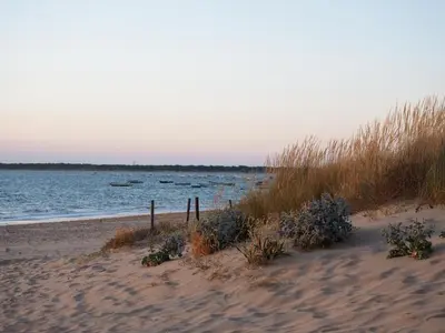 a sandy beach with grass and a body of water at Casa Palacio Sanlúcar Home in Sanlúcar de Barrameda