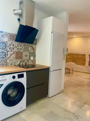 a kitchen with a washing machine and a refrigerator at Casa Palacio Sanlúcar Home in Sanlúcar de Barrameda