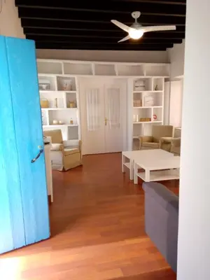 a living room with a couch and a ceiling fan at CASA DEL ANTICUARIO APARTMENTS in Cádiz