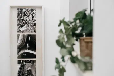 a mirror on a wall next to a plant at Eva Recommends Capilla de la Jura en Jerez in Jerez de la Frontera