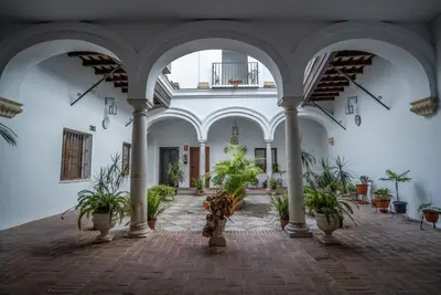 a courtyard with potted plants in a building at Las Palomas 15 in Sanlúcar de Barrameda