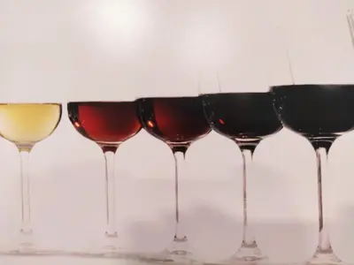 a row of wine glasses lined up in a row at Loft Sherry in Jerez de la Frontera