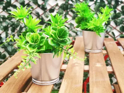 three potted plants sitting on a wooden bench at Loft Sherry in Jerez de la Frontera