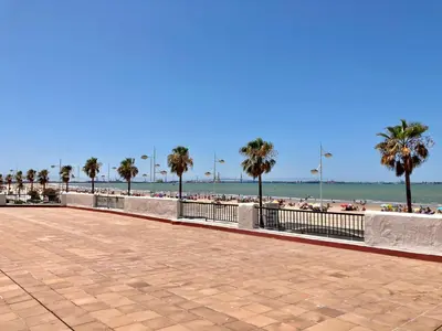 a boardwalk with palm trees and the beach at ESTUDIO BLEGAMAR TERRAZA - Playa, WiFi y Aparcamiento in El Puerto de Santa María