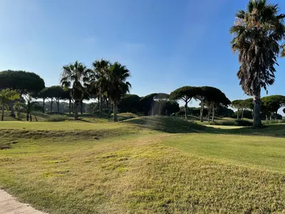 a field with palm trees and a fountain in the distance at En la zona más tranquila del Novo Sancti Petri in Chiclana de la Frontera