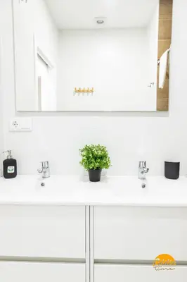a bathroom sink with a potted plant sitting on it at Casa Patio La Viña by Cadiz Time in Cádiz