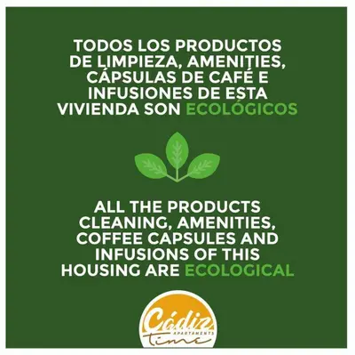 a green poster with a plant and the wordsynthesis at Sagasta 1750 by Cadiz Time in Cádiz