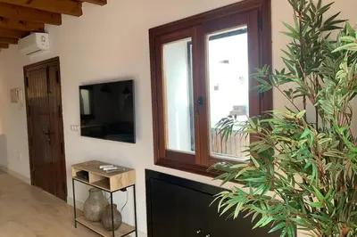 a living room with a large plant and a television at Hidden Gem Penthouse Populo y Catedral in Cádiz